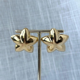 Brinco Estrela do Mar