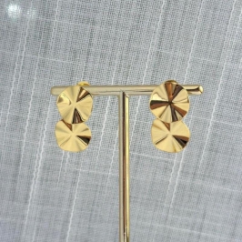 Brinco Orgânico Pendente