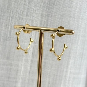 Brinco Argola Fina
