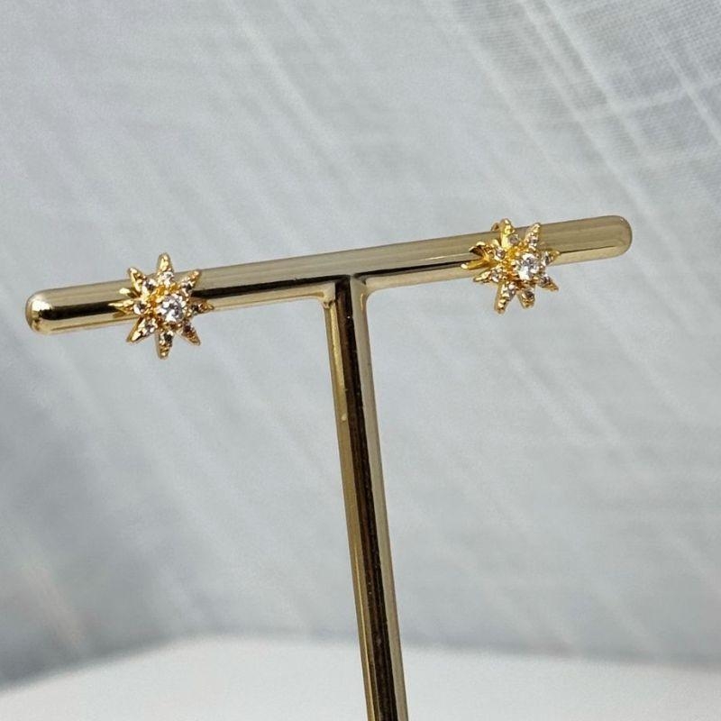 Brinco Flor Microcravejado