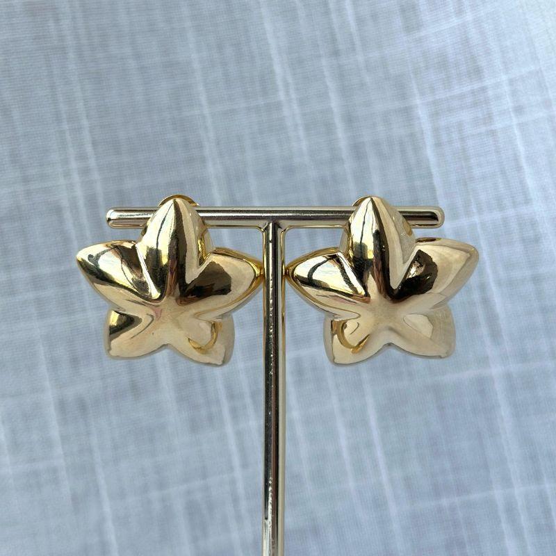 Brinco Estrela do Mar